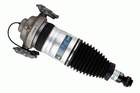 Veerpoot Bilstein 45240287 Veerpoot Bilstein 45240287