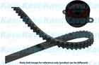 Distributieriem kit Kavo Parts dkt2016 Distributieriem kit Kavo Parts dkt2016