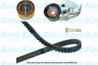 Distributieriem kit Kavo Parts dkt3004 Distributieriem kit Kavo Parts dkt3004