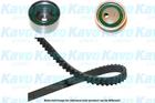 Distributieriem kit Kavo Parts dkt3005 Distributieriem kit Kavo Parts dkt3005