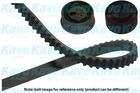 Distributieriem kit Kavo Parts dkt5544 Distributieriem kit Kavo Parts dkt5544