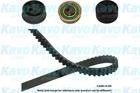Distributieriem kit Kavo Parts dkt5545 Distributieriem kit Kavo Parts dkt5545