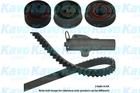 Distributieriem kit Kavo Parts dkt5549 Distributieriem kit Kavo Parts dkt5549