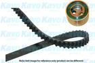 Distributieriem kit Kavo Parts dkt8502 Distributieriem kit Kavo Parts dkt8502