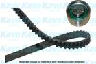 Distributieriem kit Kavo Parts dkt8504 Distributieriem kit Kavo Parts dkt8504