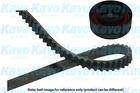 Distributieriem kit Kavo Parts dkt8517 Distributieriem kit Kavo Parts dkt8517