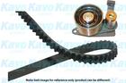 Distributieriem kit Kavo Parts dkt9029 Distributieriem kit Kavo Parts dkt9029