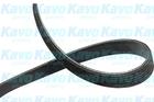 Kavo Parts Poly V-riem DMV-1539 Kavo Parts Poly V-riem DMV-1539