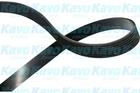 Kavo Parts Poly V-riem DMV-6554 Kavo Parts Poly V-riem DMV-6554
