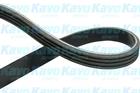 Poly V-riem Kavo Parts dmv8504 Poly V-riem Kavo Parts dmv8504