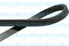 Poly V-riem Kavo Parts dmv8507 Poly V-riem Kavo Parts dmv8507