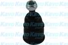 Kavo Parts Fuseekogel SBJ-2001 Kavo Parts Fuseekogel SBJ-2001