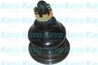 Kavo Parts Fuseekogel SBJ-2002 Kavo Parts Fuseekogel SBJ-2002