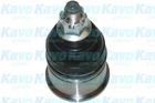 Kavo Parts Fuseekogel SBJ-2009 Kavo Parts Fuseekogel SBJ-2009