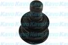 Kavo Parts Fuseekogel SBJ-3017 Kavo Parts Fuseekogel SBJ-3017