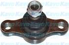 Kavo Parts Fuseekogel SBJ-3019 Kavo Parts Fuseekogel SBJ-3019