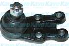 Fuseekogel Kavo Parts sbj3021 Fuseekogel Kavo Parts sbj3021