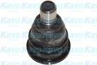 Kavo Parts Fuseekogel SBJ-4007 Kavo Parts Fuseekogel SBJ-4007