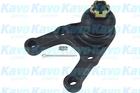 Kavo Parts Fuseekogel SBJ-5505 Kavo Parts Fuseekogel SBJ-5505