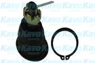 Kavo Parts Fuseekogel SBJ-6506 Kavo Parts Fuseekogel SBJ-6506