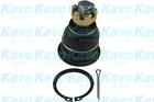 Kavo Parts Fuseekogel SBJ-6509 Kavo Parts Fuseekogel SBJ-6509