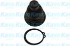 Kavo Parts Fuseekogel SBJ-6537 Kavo Parts Fuseekogel SBJ-6537