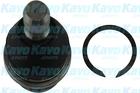 Kavo Parts Fuseekogel SBJ-6550 Kavo Parts Fuseekogel SBJ-6550