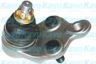 Kavo Parts Fuseekogel SBJ-9005 Kavo Parts Fuseekogel SBJ-9005