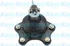 Kavo Parts Fuseekogel SBJ-9016 Kavo Parts Fuseekogel SBJ-9016