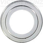 Reinz Klepsteeldichting 70-23062-00 Reinz Klepsteeldichting 70-23062-00