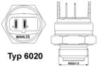 Wahler Temperatuurschakelaar 6020.92D Wahler Temperatuurschakelaar 6020.92D