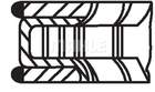 Zuigerveren Mahle Original 011rs101000n0 Zuigerveren Mahle Original 011rs101000n0