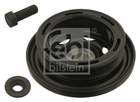Krukaspoelie /-torsiedemper Febi Bilstein 33600 Krukaspoelie /-torsiedemper Febi Bilstein 33600