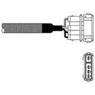 Delphi Diesel Lambda-sonde ES10976-12B1 Delphi Diesel Lambda-sonde ES10976-12B1