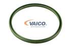 Dichtring laadluchtslang Vaico v203114 Dichtring laadluchtslang Vaico v203114