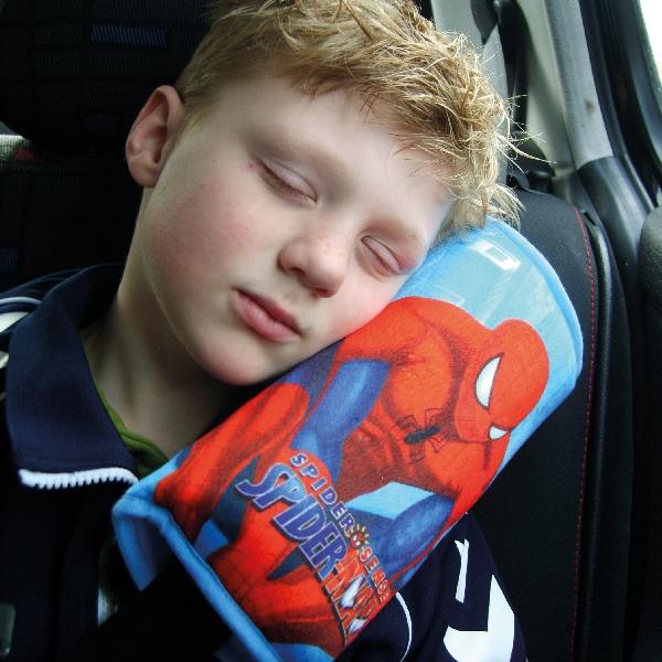 Spiderman Spiderman Gordelkussen 50003 Spiderman Spiderman Gordelkussen 50003