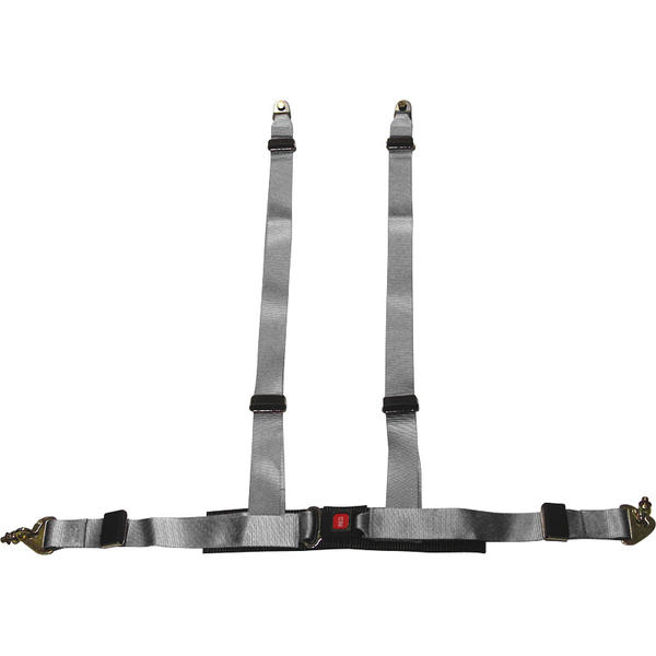 Mijnautoonderdelen SeatBelt Racing 4-Pnt Silver + E-ma SY 3064S Mijnautoonderdelen SeatBelt Racing 4-Pnt Silver + E-ma SY 3064S